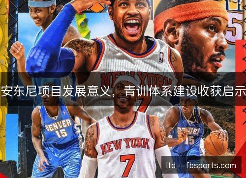安东尼项目发展意义，青训体系建设收获启示